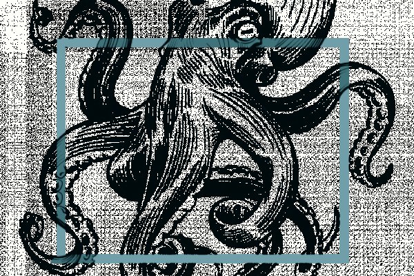 Kraken вход kraken torion